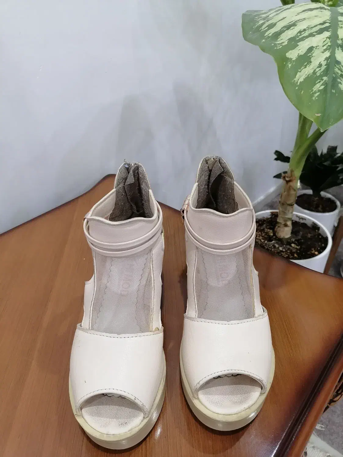 کفش مجلسی|کیف، کفش، کمربند|شوشتر, |دیوار