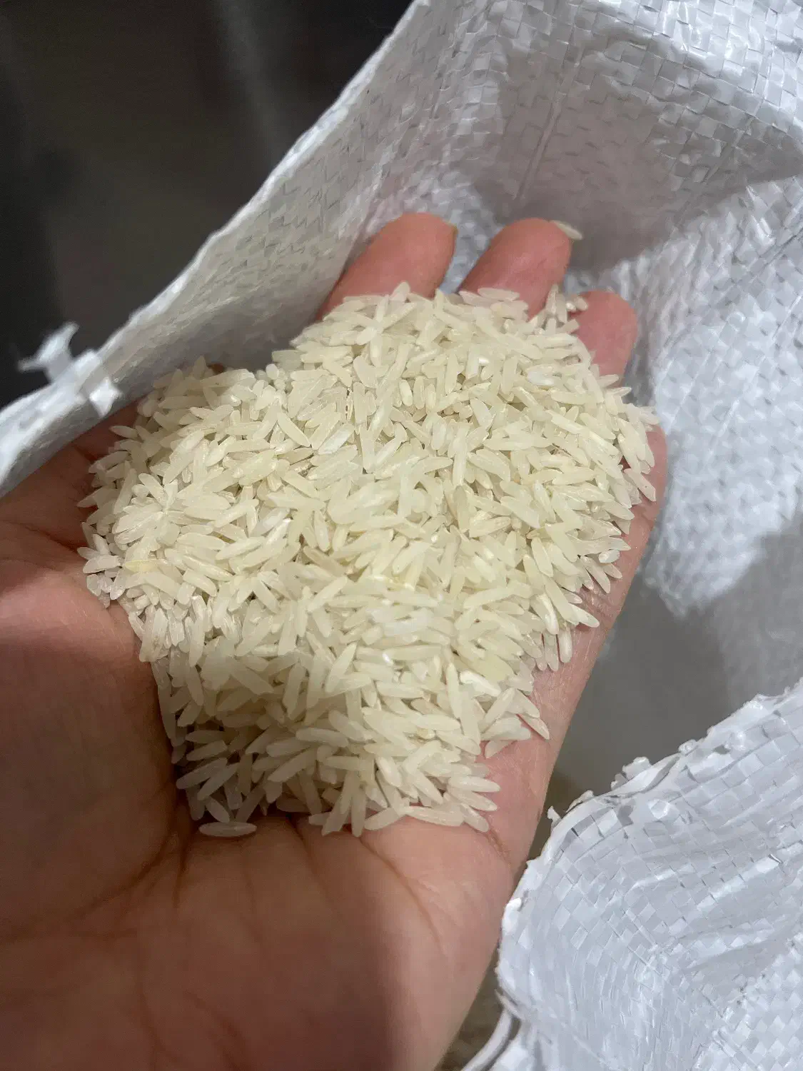 برنج عنبربو|خوردنی و آشامیدنی|ساری, |دیوار