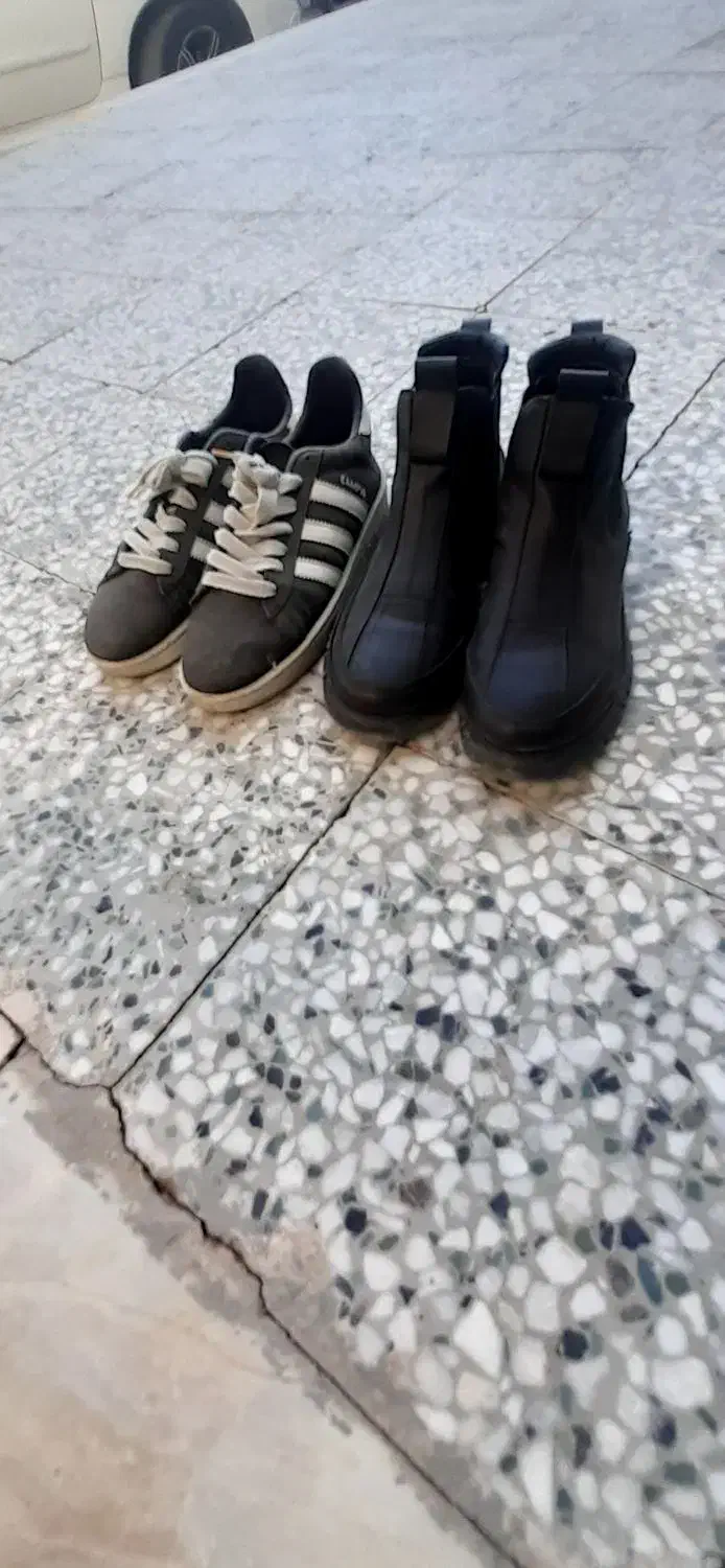 کفش|کیف، کفش، کمربند|سیرجان, |دیوار