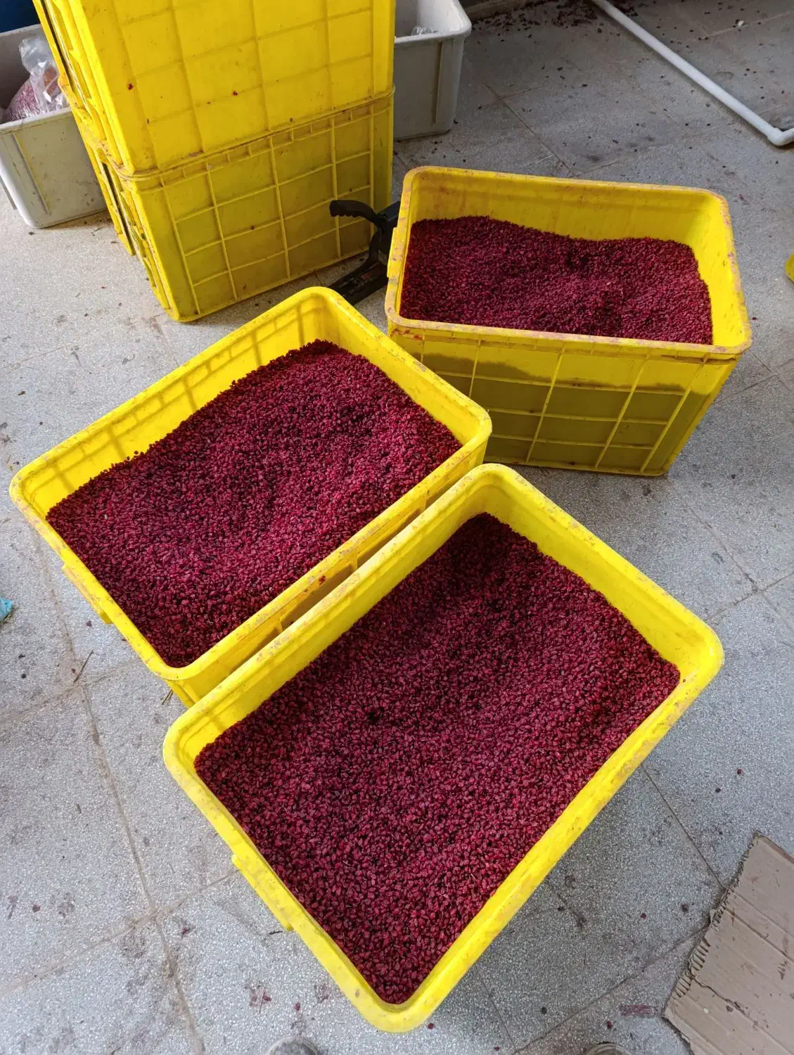 زرشک زیر تالاری و اناری|خوردنی و آشامیدنی|سده (خراسان جنوبی), |دیوار