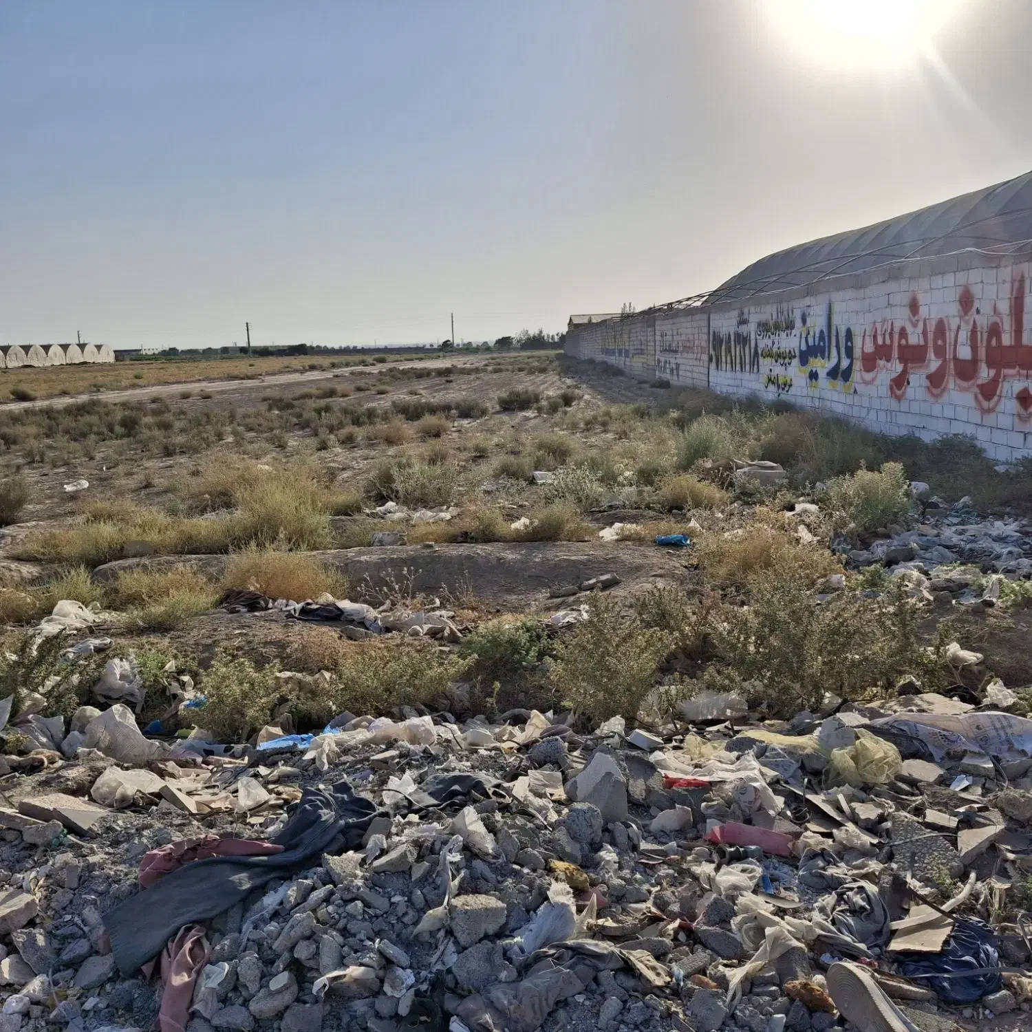 زمین گلخانه جیتو فیلستان بر جاده اصلی|فروش دفتر صنعتی، کشاورزی، تجاری|پاکدشت, پاکدشت (مامازند)|دیوار