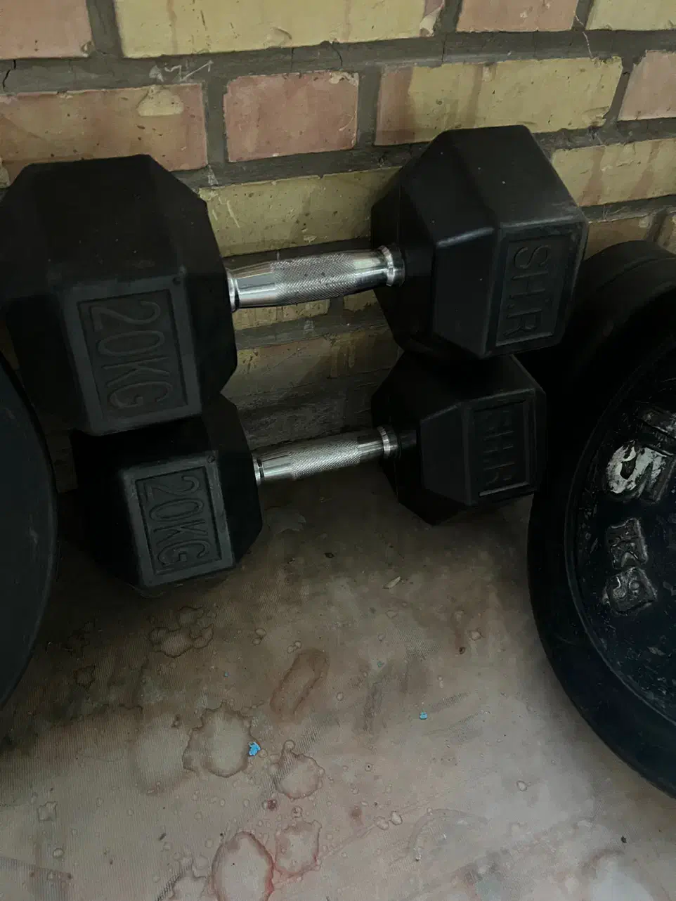 دمبل شش ضلعی|تجهیزات ورزشی|قرچک, پارک جنگلی|دیوار