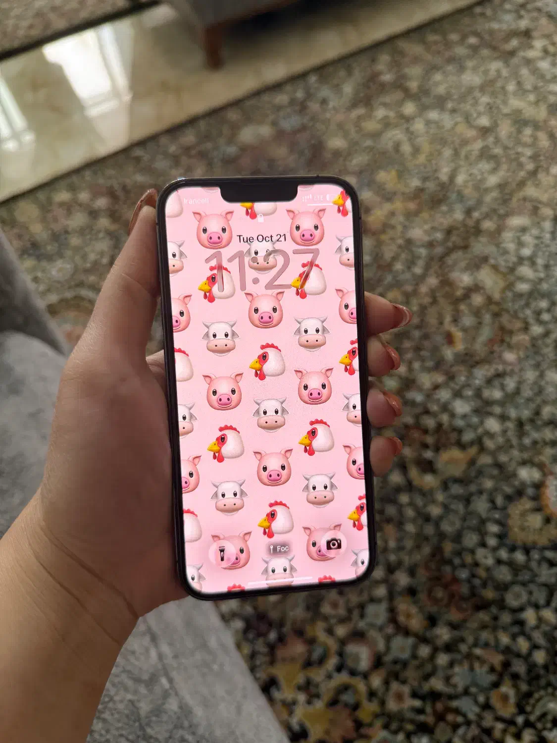 ایفون13پروzaa256|موبایل|ری, علایین|دیوار