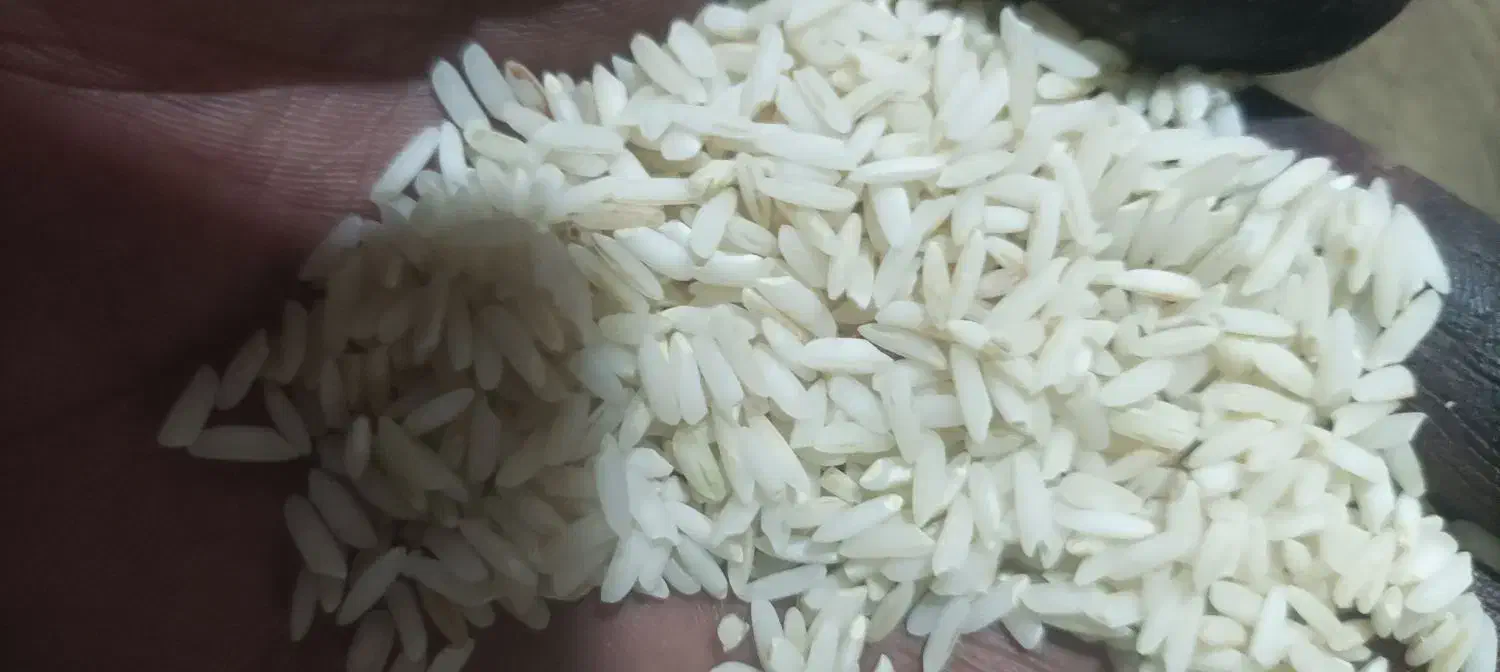برنج درجه یک بالاترین برنج ماله خودمونه|خوردنی و آشامیدنی|قم, زنبیل آباد|دیوار