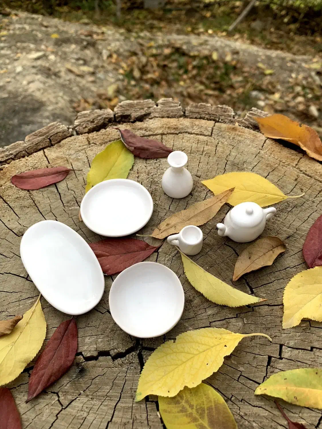 ظروف سرامیکی مینیاتوری عمده|صنایع دستی و سایر لوازم تزئینی|آفتاب, |دیوار