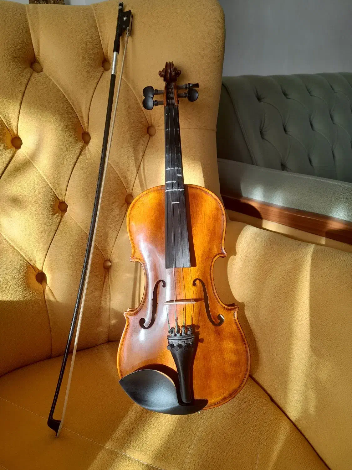 ویلون دست ساز|ویولن|اصفهان, کشاورزی|دیوار