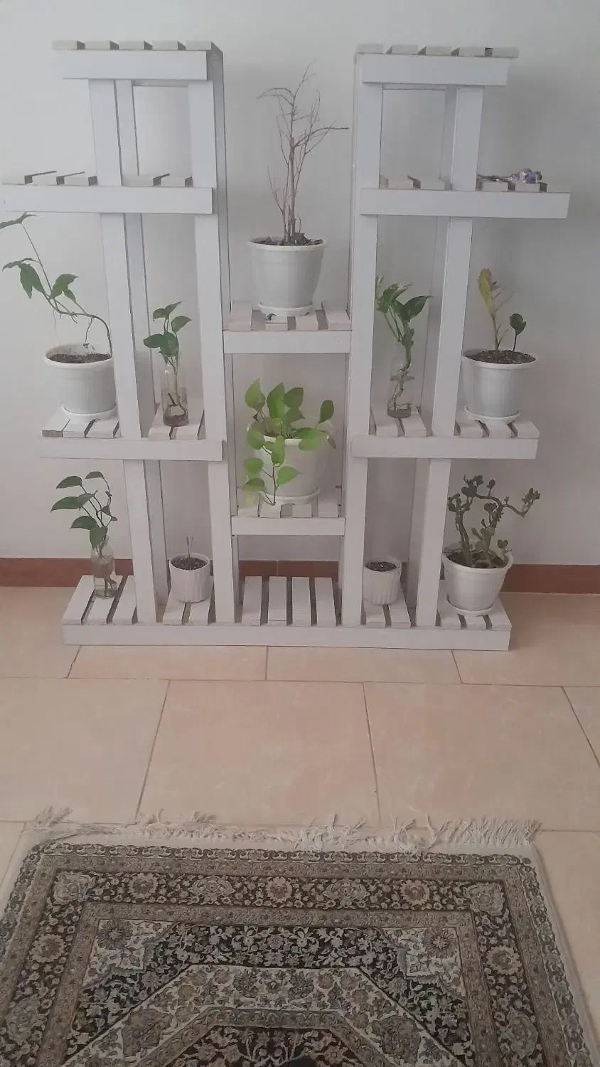 شلف گل|کتابخانه، شلف، قفسه‌های دیواری|رشت, پاره بیجار|دیوار