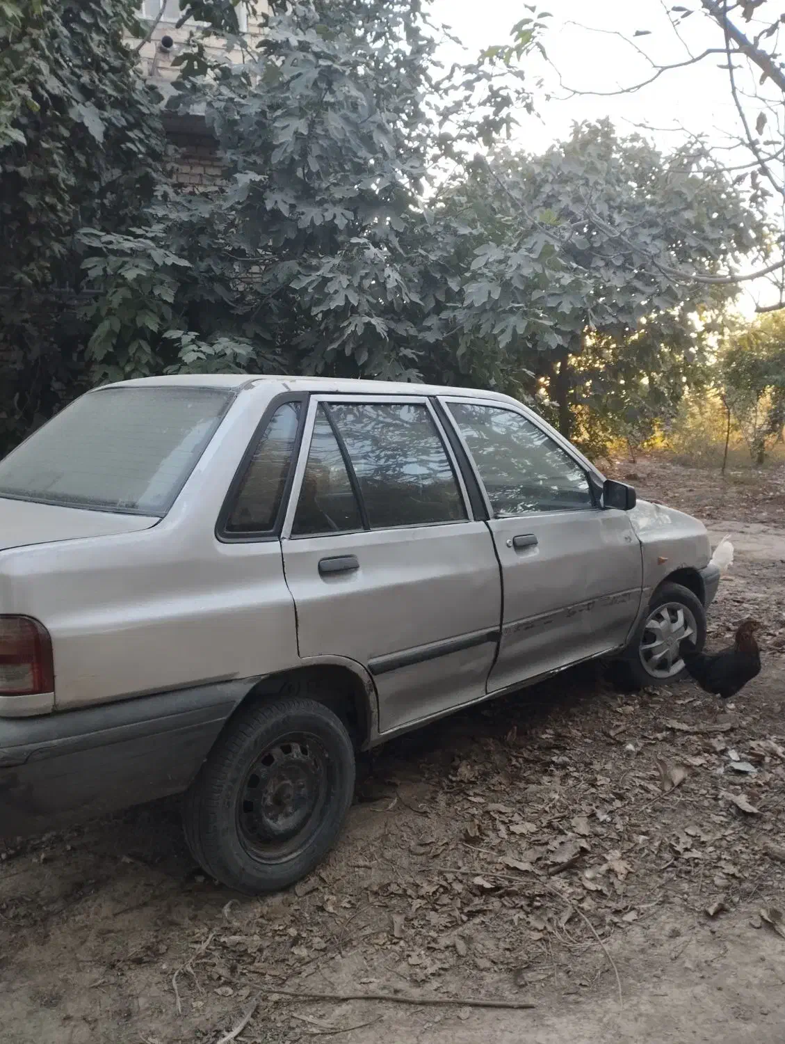 پراید مدل CNG۸۴|خودرو سواری و وانت|گنبد کاووس, |دیوار