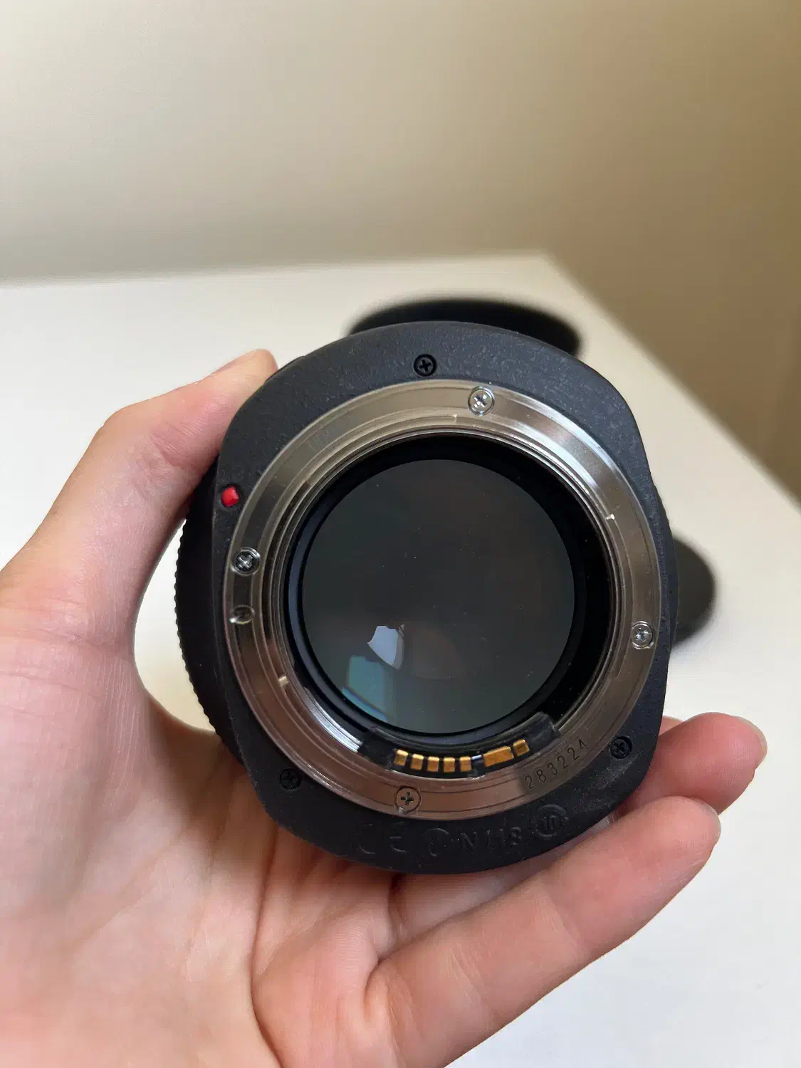 لنز کانن Canon EF 85mm f/1.2L II USM|دوربین عکاسی و فیلم‌برداری|اصفهان, باغ زرشک|دیوار