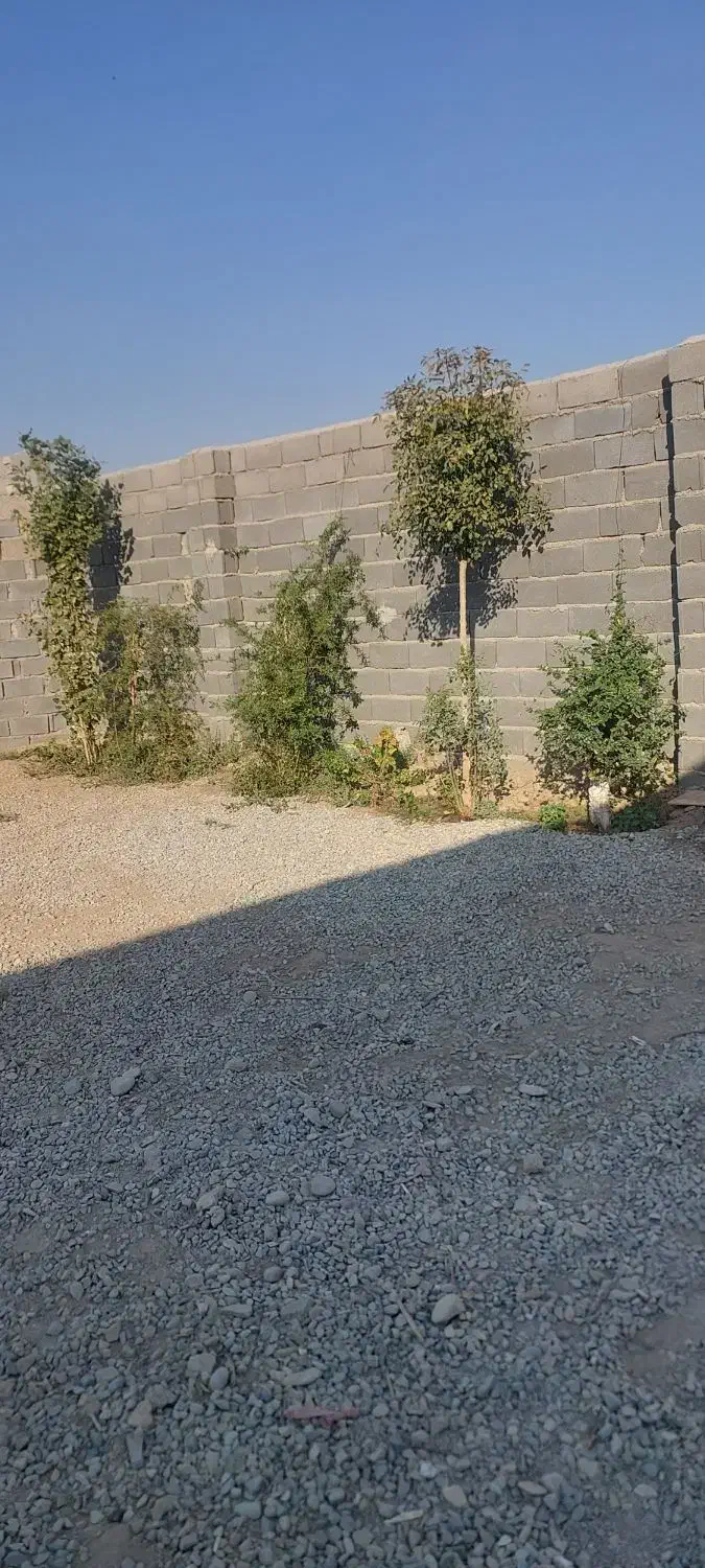 باغچه ۴۹۶ متر  محمد ابادعرب ها|فروش خانه و ویلا|جوادآباد, |دیوار