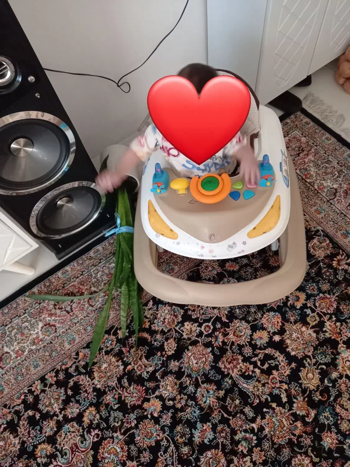 سالم|کالسکه و لوازم جانبی|مشهد, سیس‌آباد|دیوار