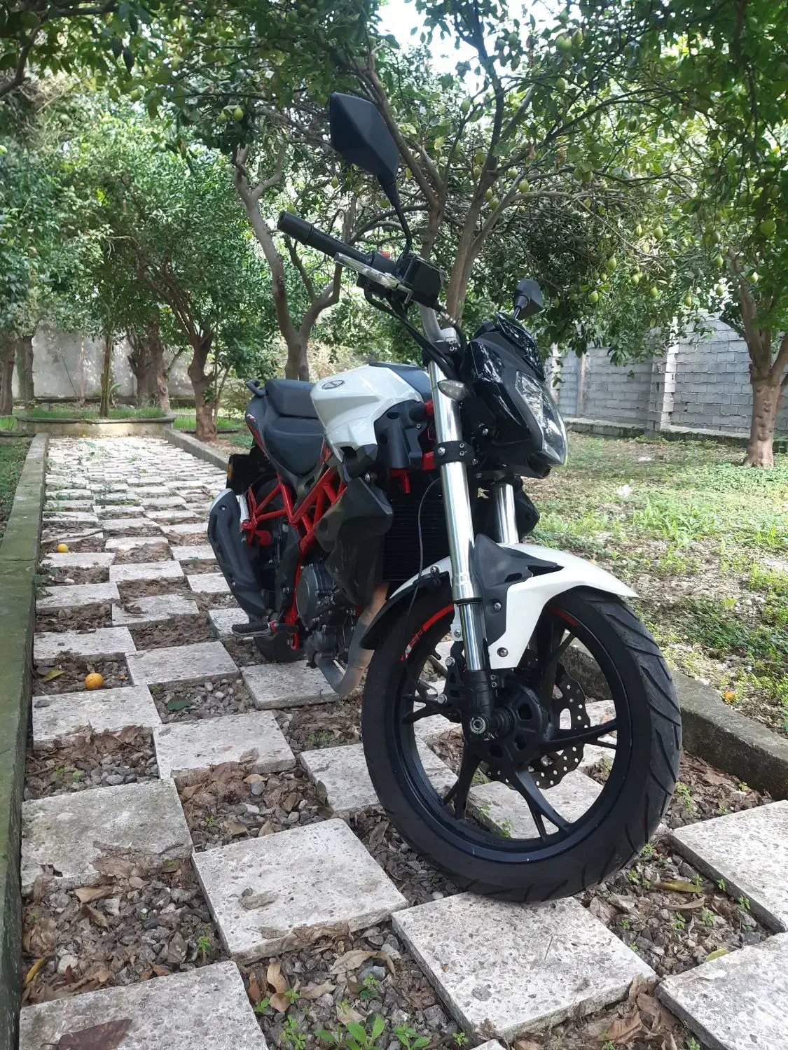 بنلی ۲۵۰ تک سیلندر|موتورسیکلت|نوشهر, |دیوار