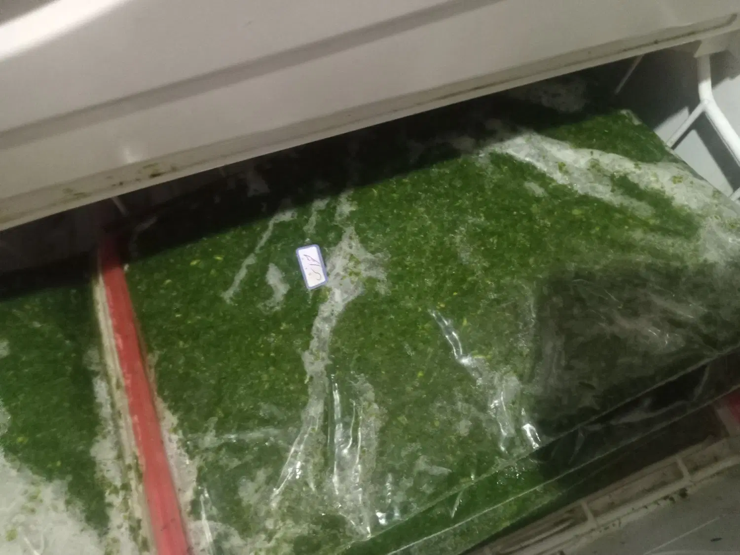 سبزی|خوردنی و آشامیدنی|کرمان, |دیوار