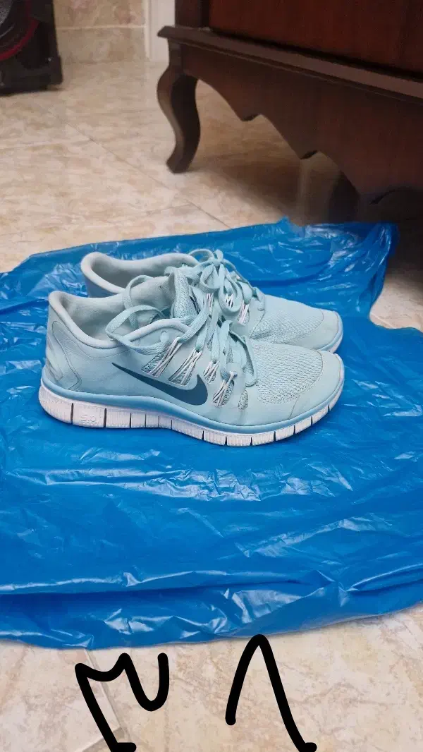 کتانی اورجینال کفش اورجینال|کیف، کفش، کمربند|تبریز, |دیوار