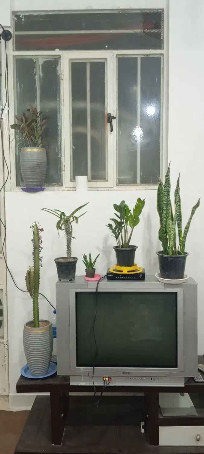 اجاره روزانه/هفتگی/لکس پایین ۱۲۰ متری|اجارهٔ کوتاه‌مدت آپارتمان و سوئیت|دزفول, |دیوار