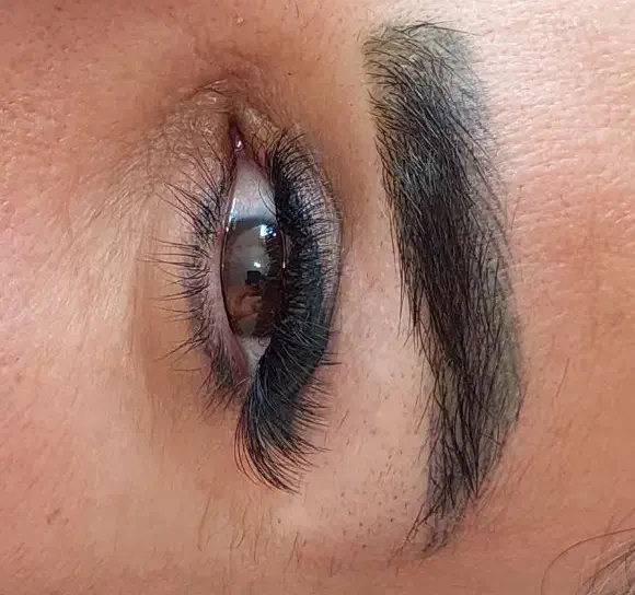 مدل اکستنشن مژه فقط با۲۵۰تومن هزینه مواد|خدمات آرایشگری و زیبایی|صومعهسرا, |دیوار