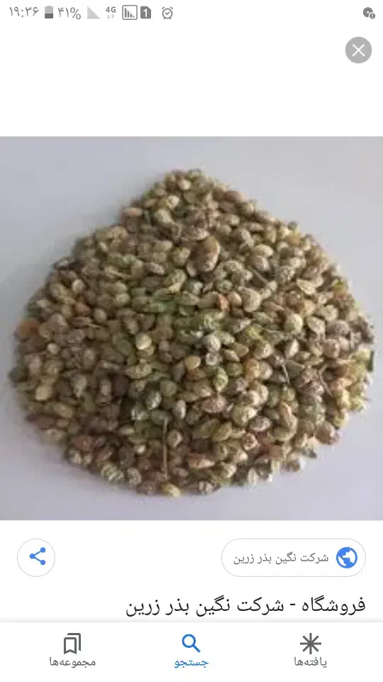 بذر خشه|گل و گیاه طبیعی|مهربان, |دیوار