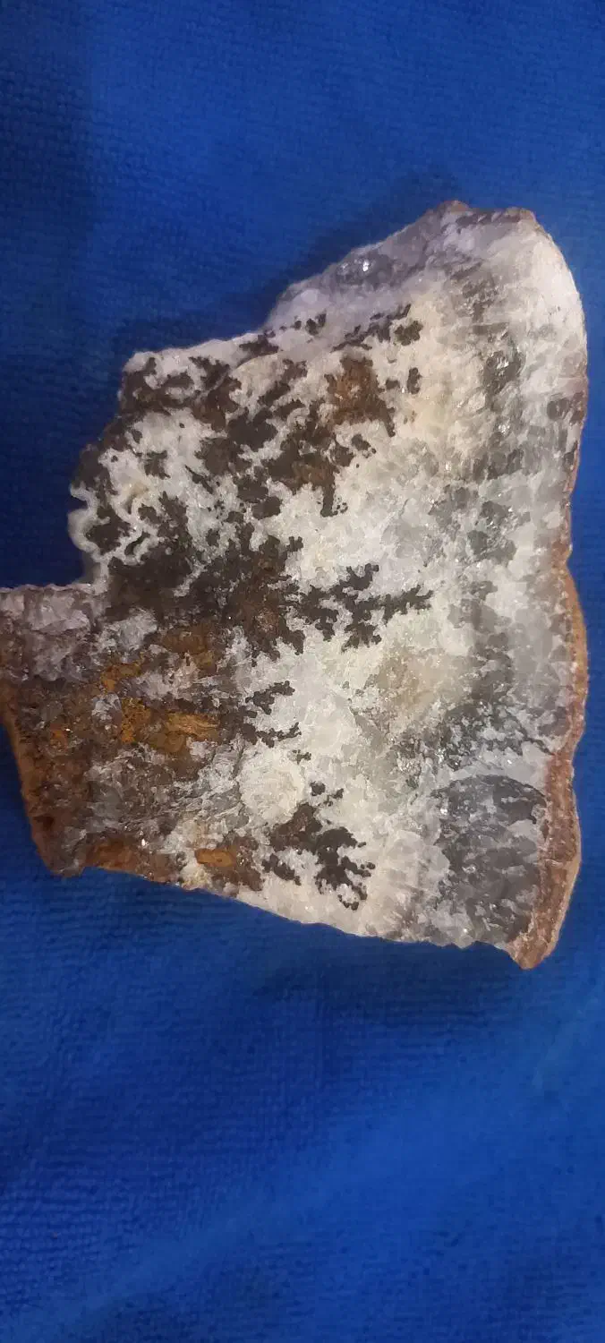 شجر تراش نخورده|جواهرات|تبریز, |دیوار