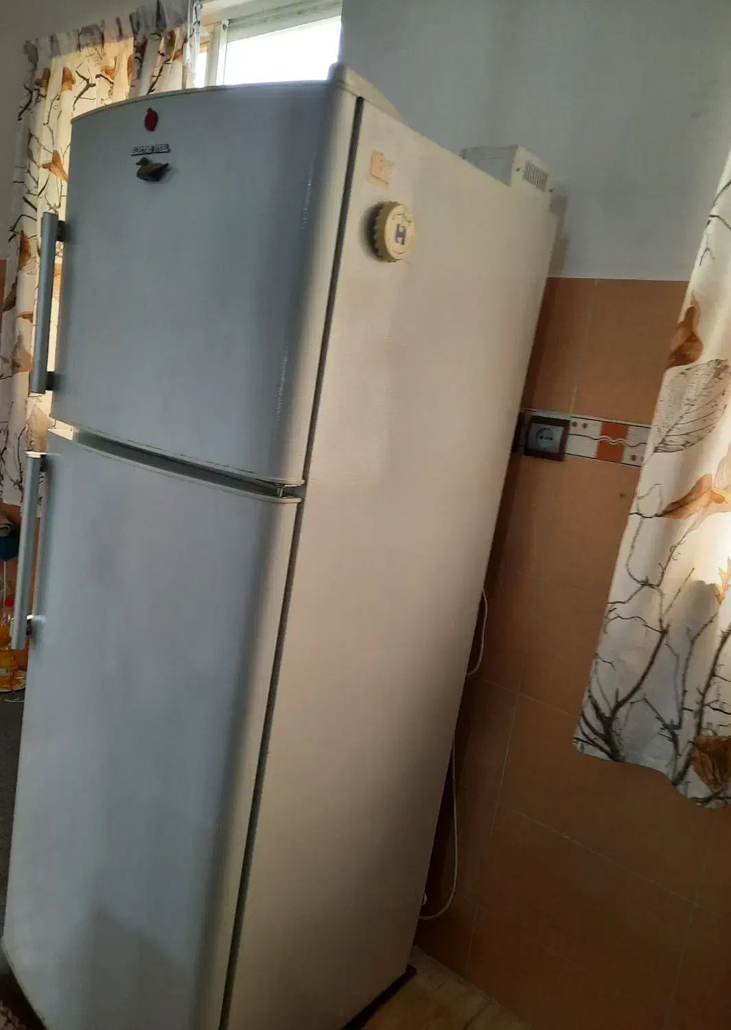 یخچال  و  فریزر|یخچال و فریزر|رشت, گلباغ نماز|دیوار