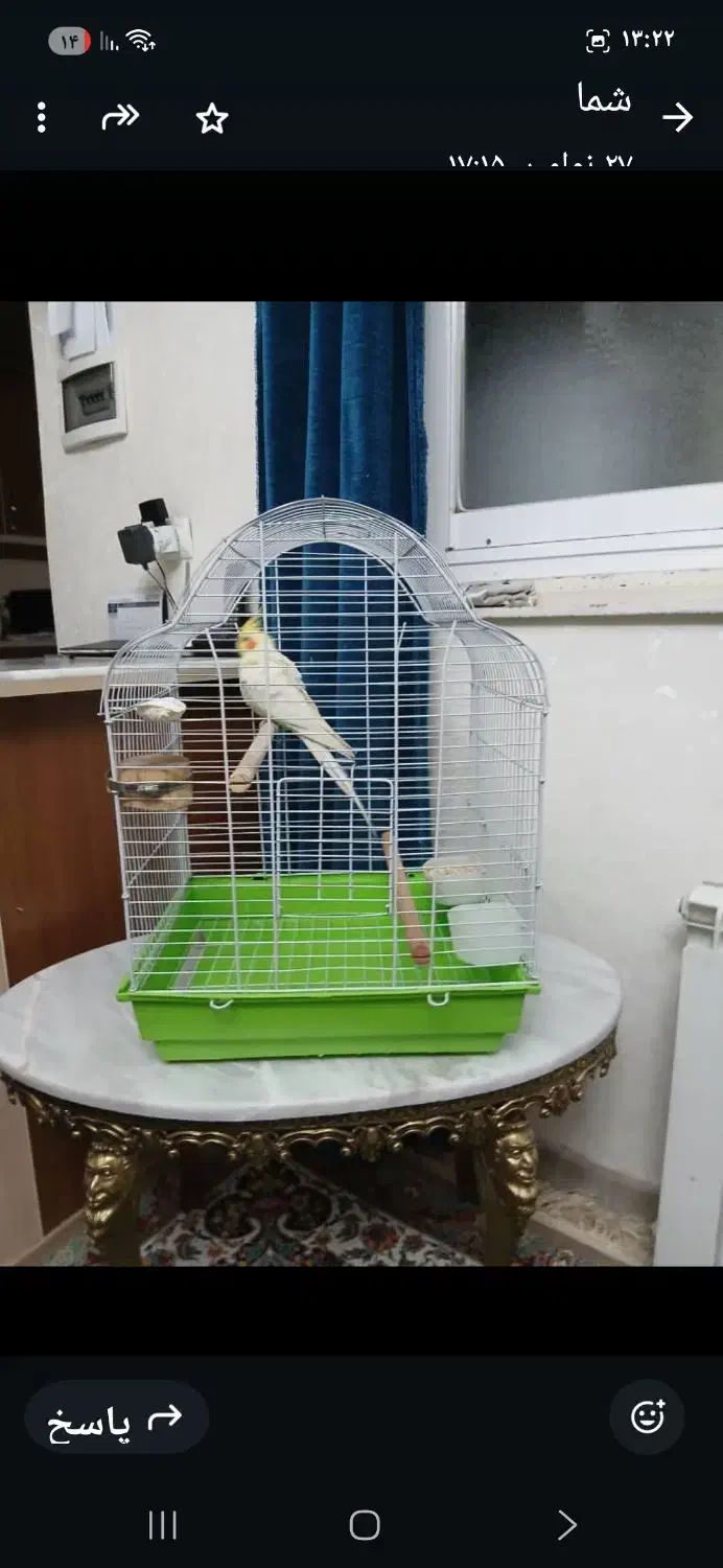 قفس پرنده بزرگ درحد نوو تمیز|لوازم جانبی حیوانات|تهران, بهار|دیوار
