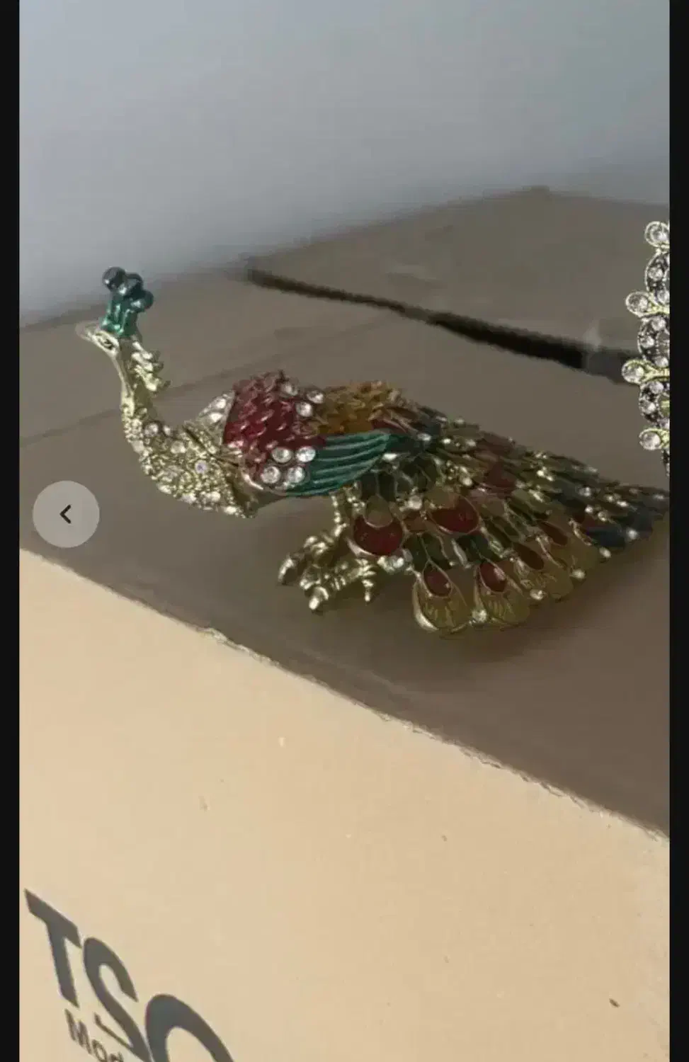 طاووس|مجسمه، تندیس، ماکت|قم, مهر آباد|دیوار