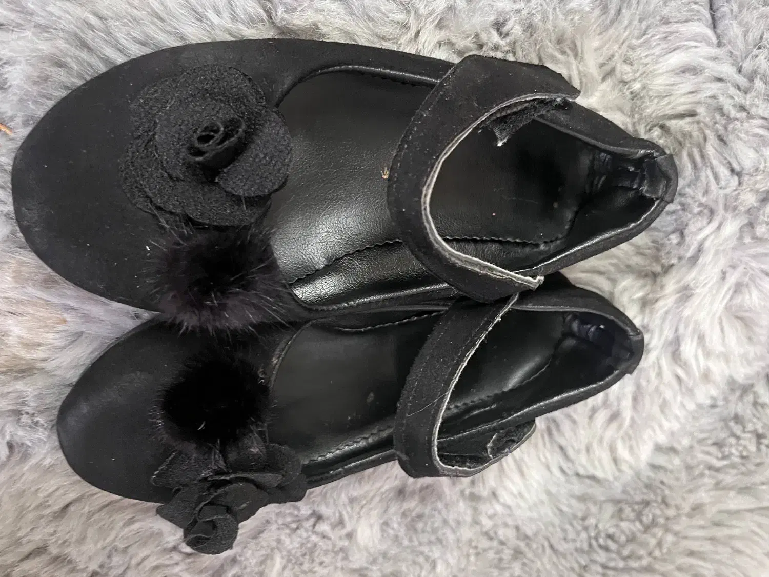 کفش دخترانه مجلسی|کفش و لباس بچه|رشت, کاکتوس|دیوار