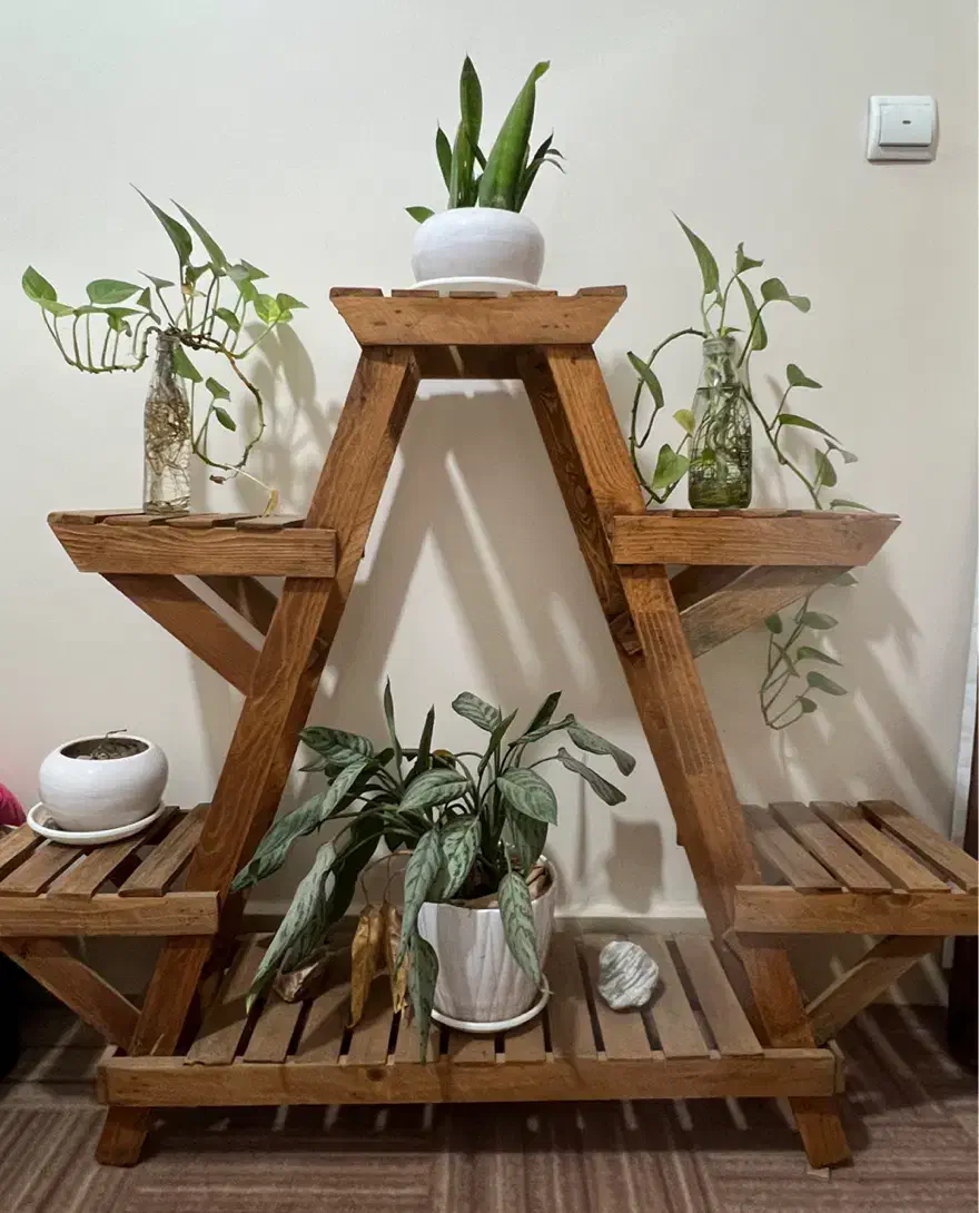 استند چوبی گل|گل و گیاه طبیعی|بوئین زهرا, |دیوار