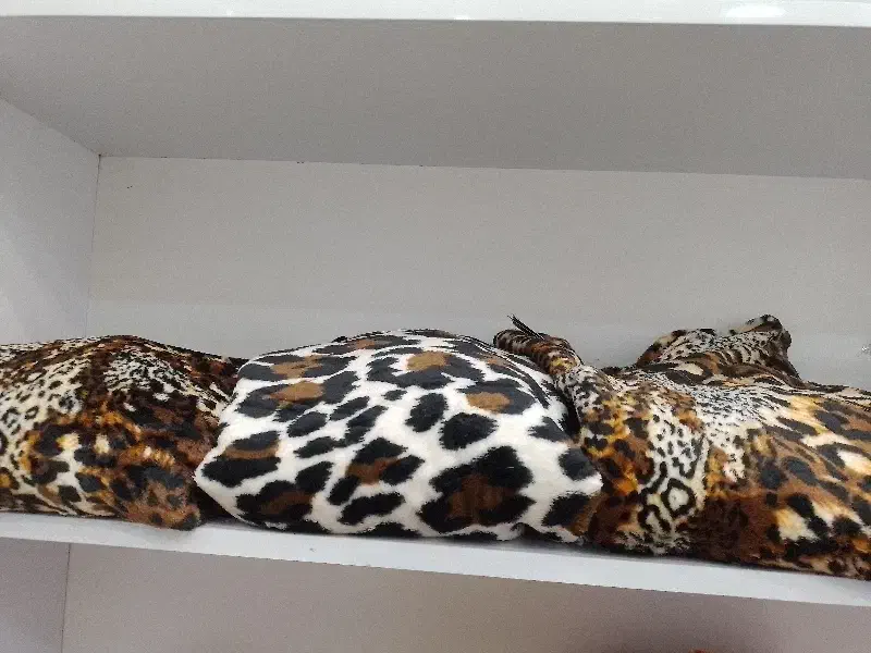 فروش انواع لباس ها|لباس|قم, شهید رجایی|دیوار