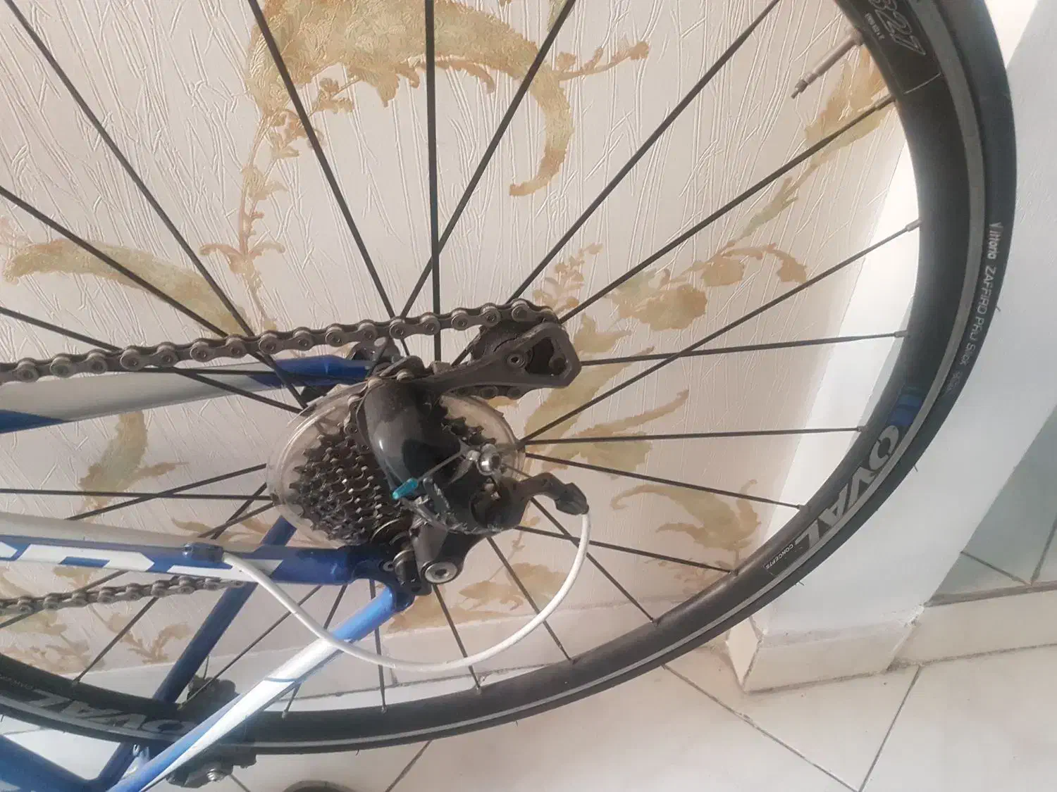 دوچرخه مارک فوجی مدل کورسی سالم|دوچرخه، اسکیت، اسکوتر|تهران, گلستان (شهرک راه آهن)|دیوار