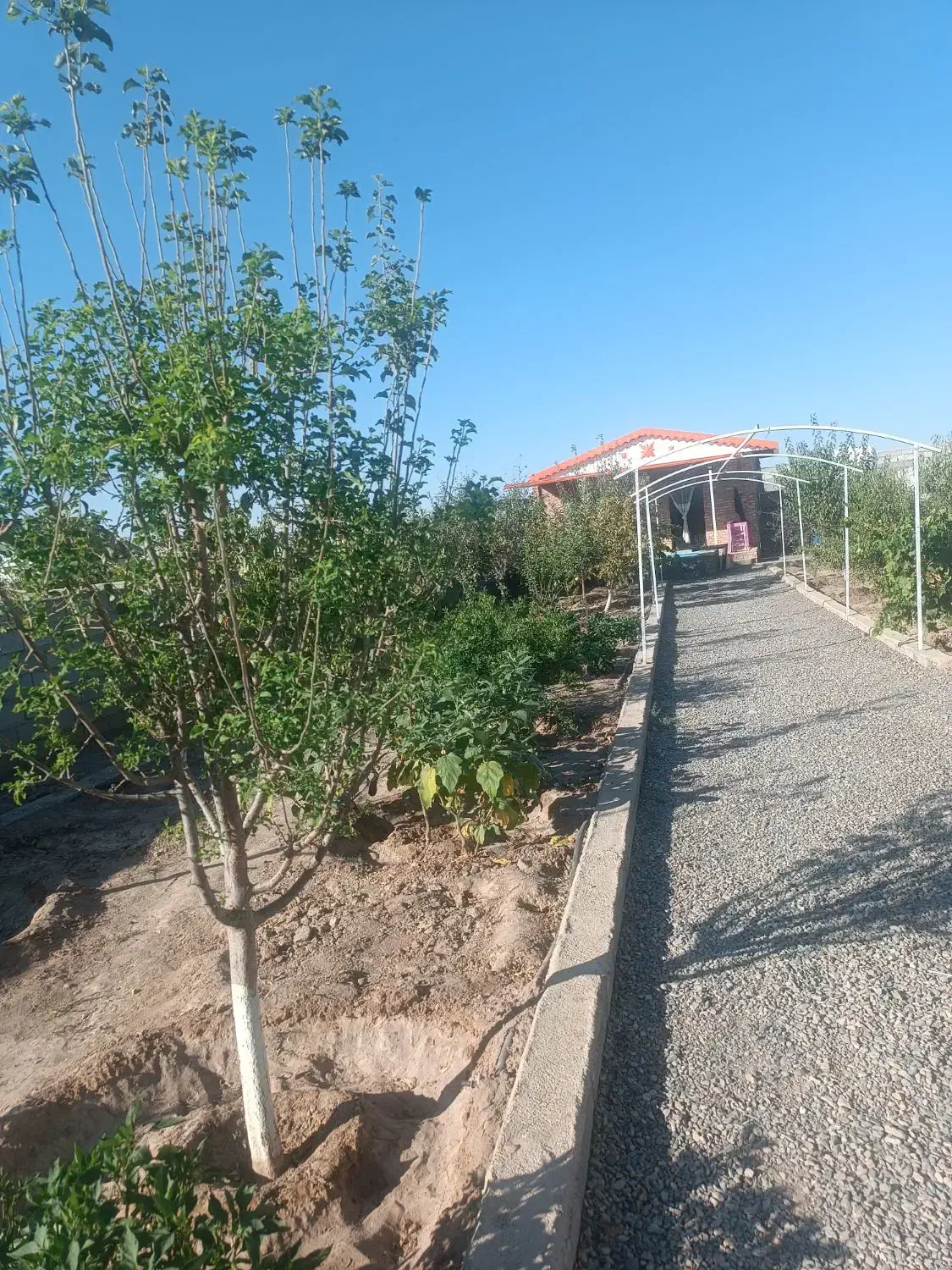 باغ ویلایی جاده نظرلو|فروش خانه و ویلا|صوفیان, |دیوار