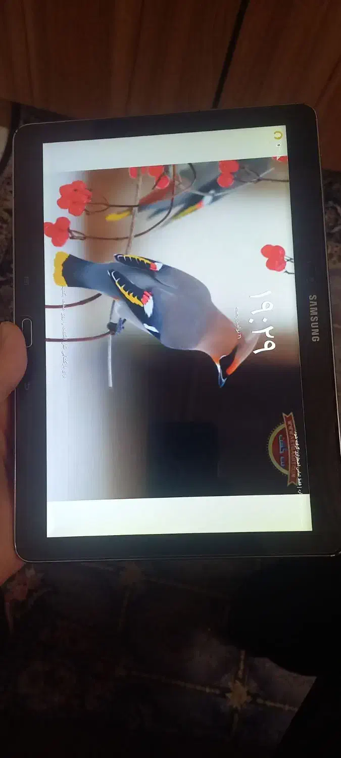 تبلت سامسونگ نوت ۱۰|تبلت|رشت, بیجارپس|دیوار