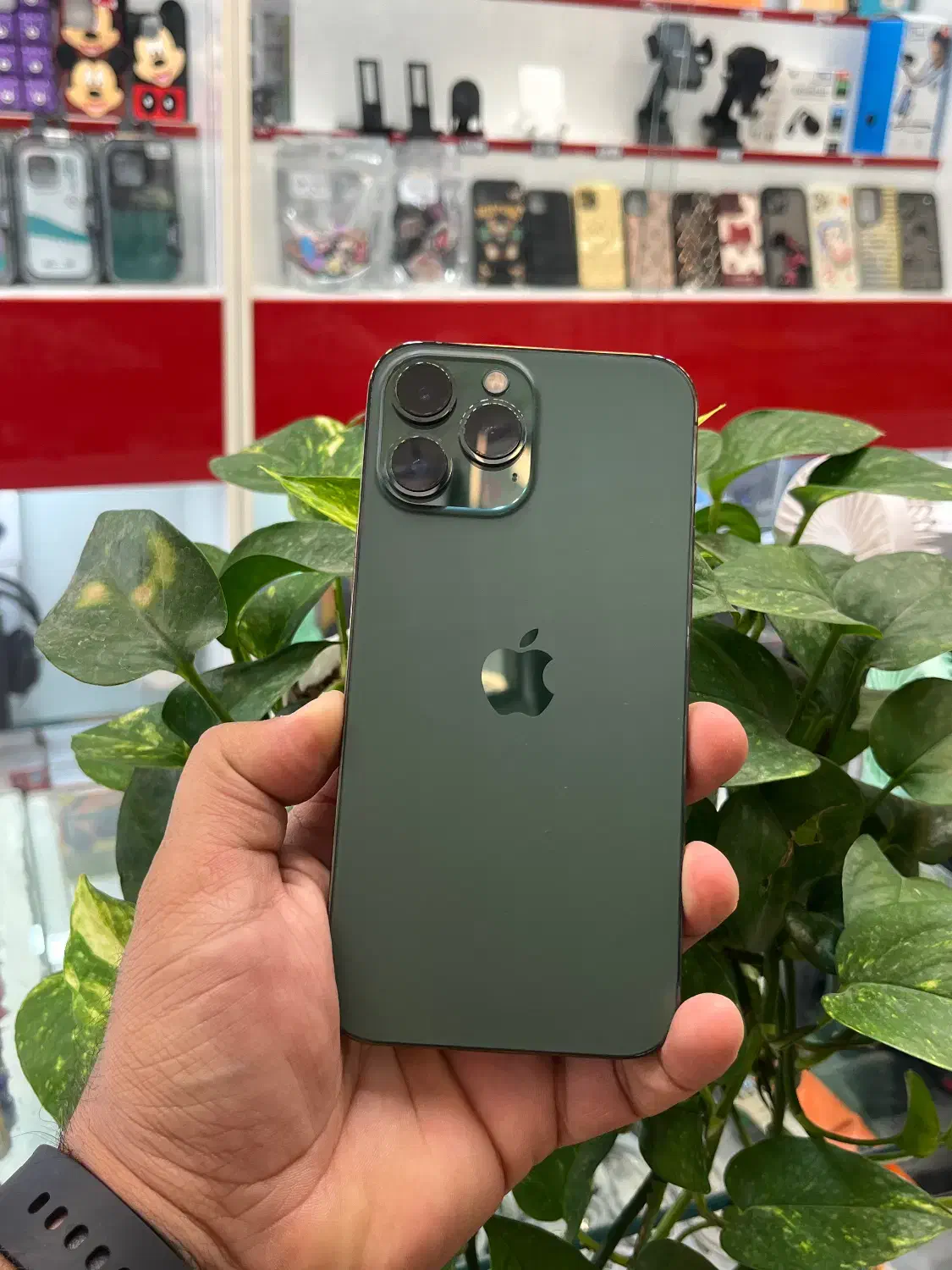 Iphone 13promax|موبایل|شیراز, زند|دیوار