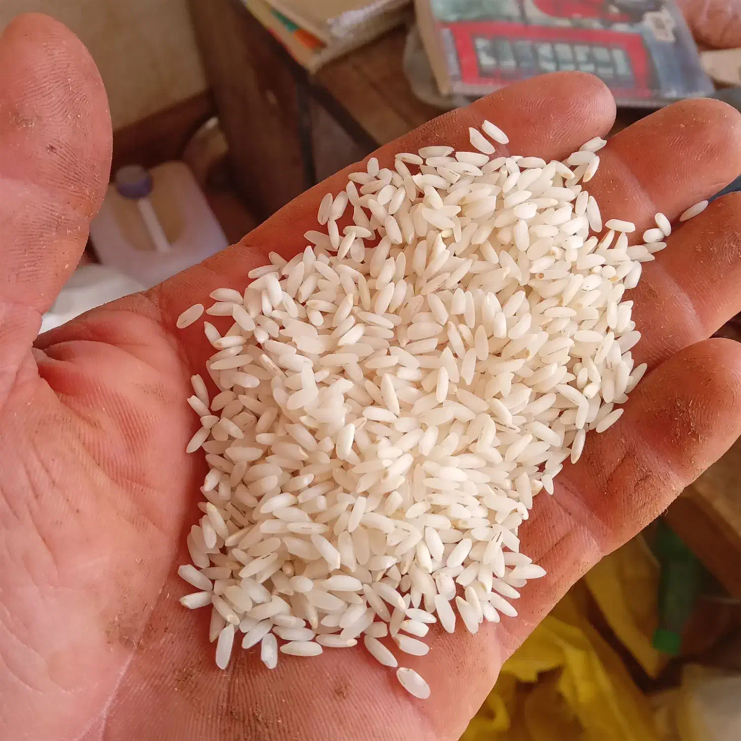 برنج عنبربو دانه بلند|خوردنی و آشامیدنی|شادگان, |دیوار