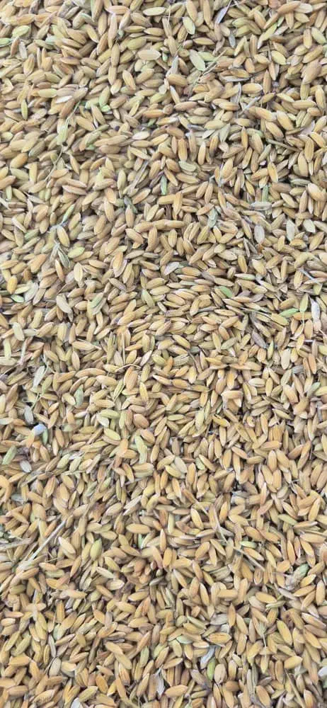 چلتوک|حراج|کامفیروز, |دیوار