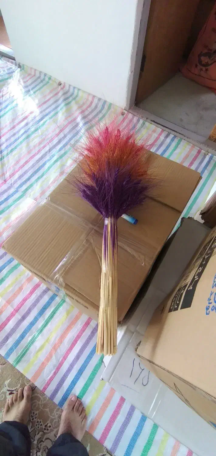 خوشه گندم|گل و گیاه طبیعی|رشت, ولکس|دیوار