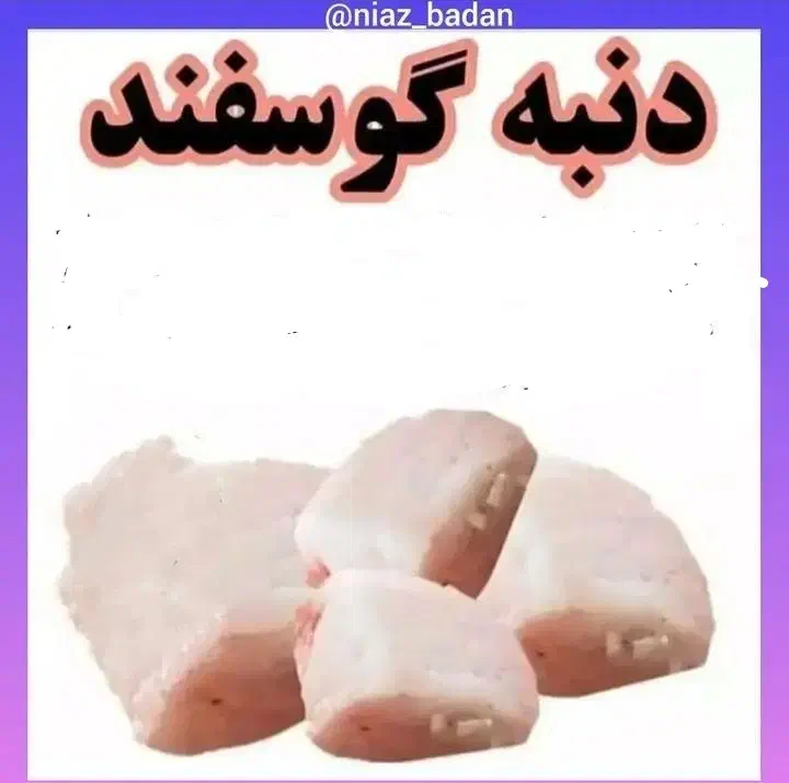 دنبه وجیگر ودنبلان گوسفندی|خوردنی و آشامیدنی|خوی, |دیوار