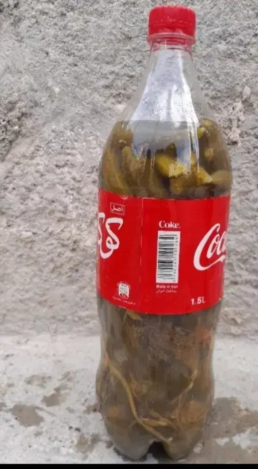 خیارشور|خوردنی و آشامیدنی|شیروان (خراسان), |دیوار