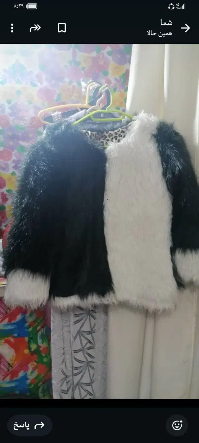 پالتو خز خارجی|لباس|شیراز, کوزه گری|دیوار