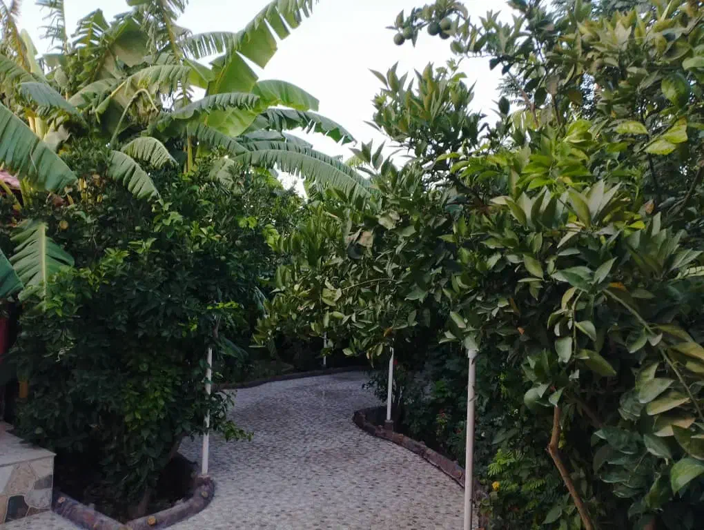 ویلا دزفول میباشد امکان رزرو حضوری در اهواز|اجارهٔ کوتاهمدت ویلا و باغ|اهواز, کوروش|دیوار