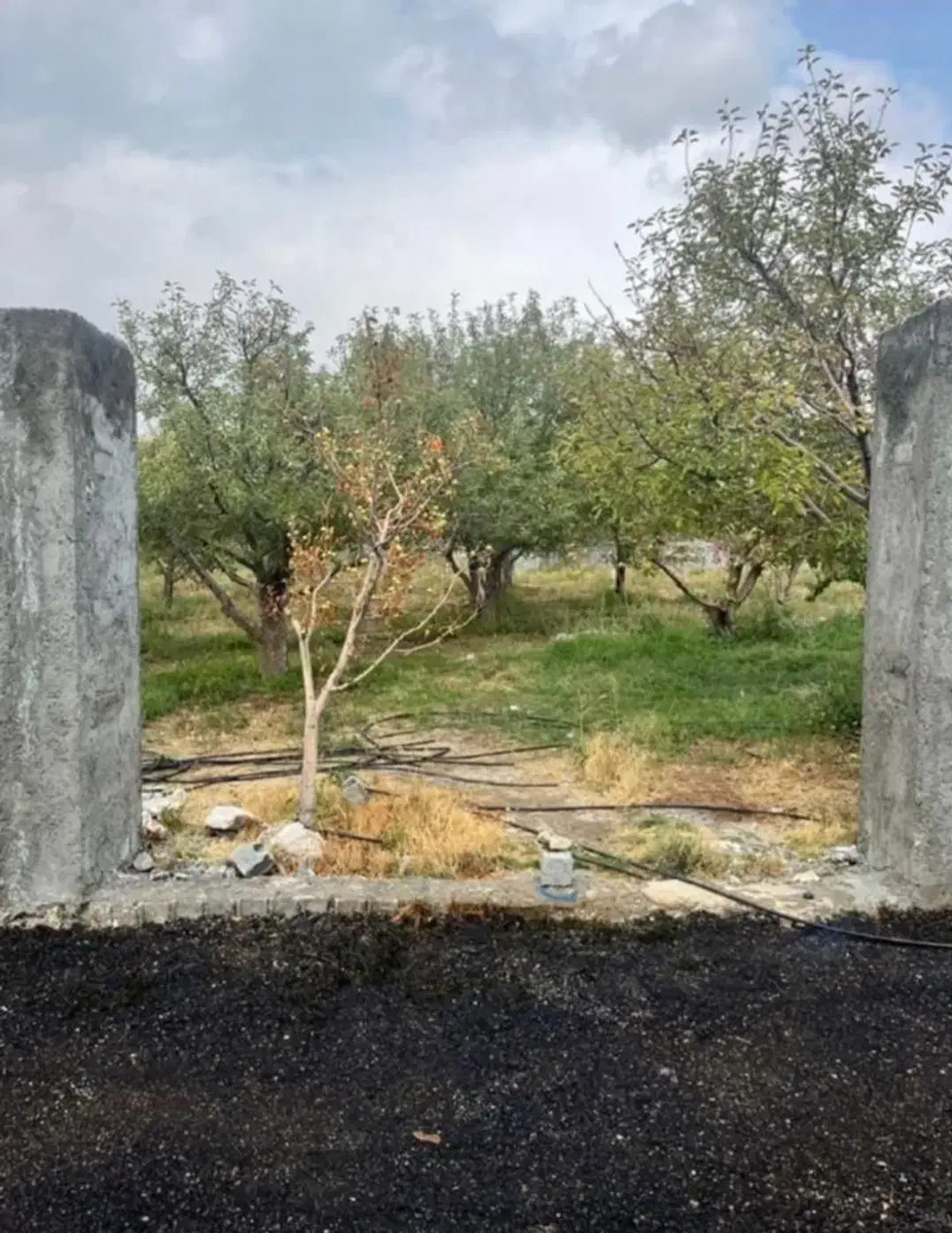 فروش ۳۰۰متر زمین متری ۲۸۰۰ تک برگ انشعابات|فروش زمین و ملک کلنگی|دماوند, دماوند|دیوار