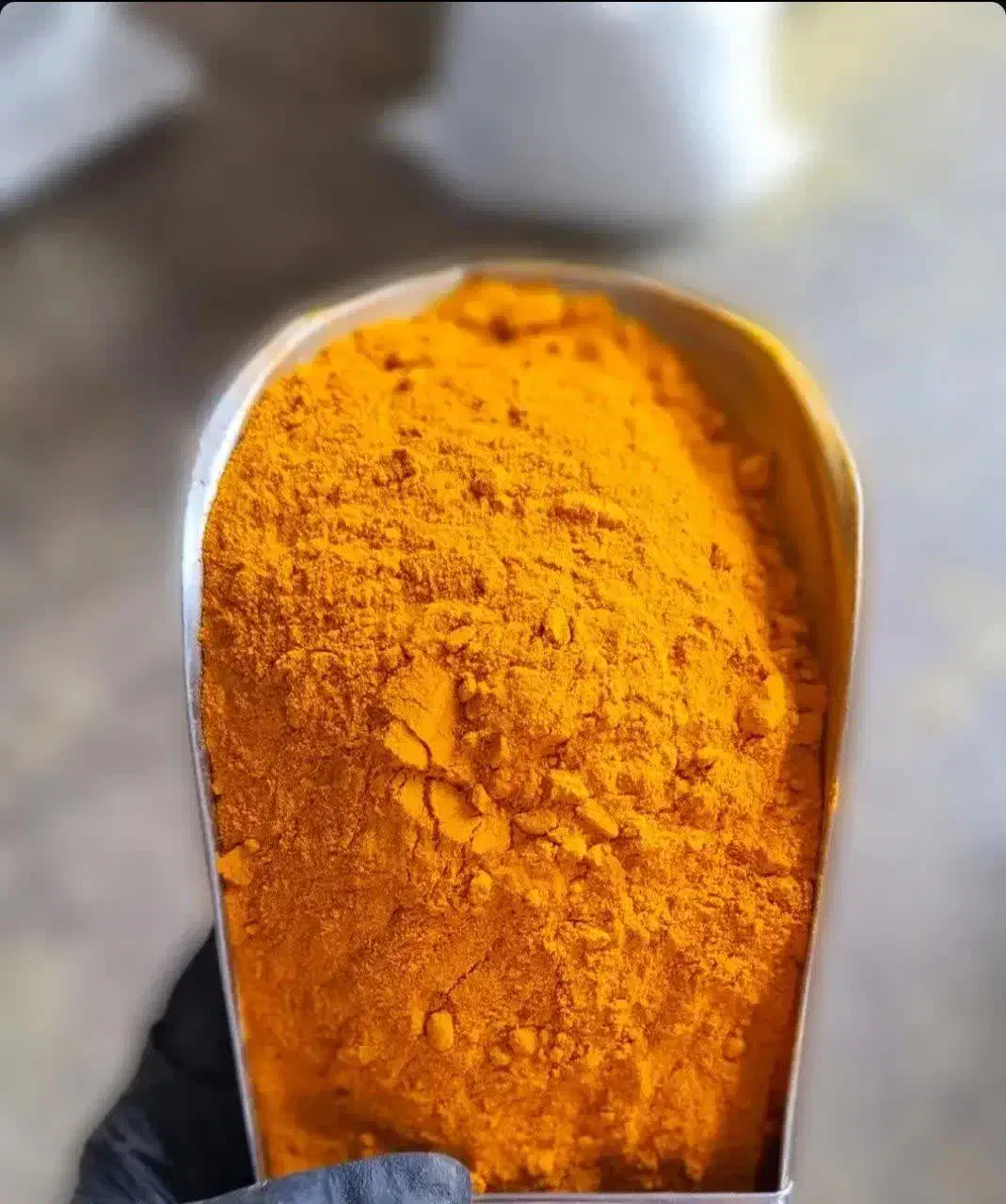 زرد چوبه|خوردنی و آشامیدنی|قم, بکایی|دیوار