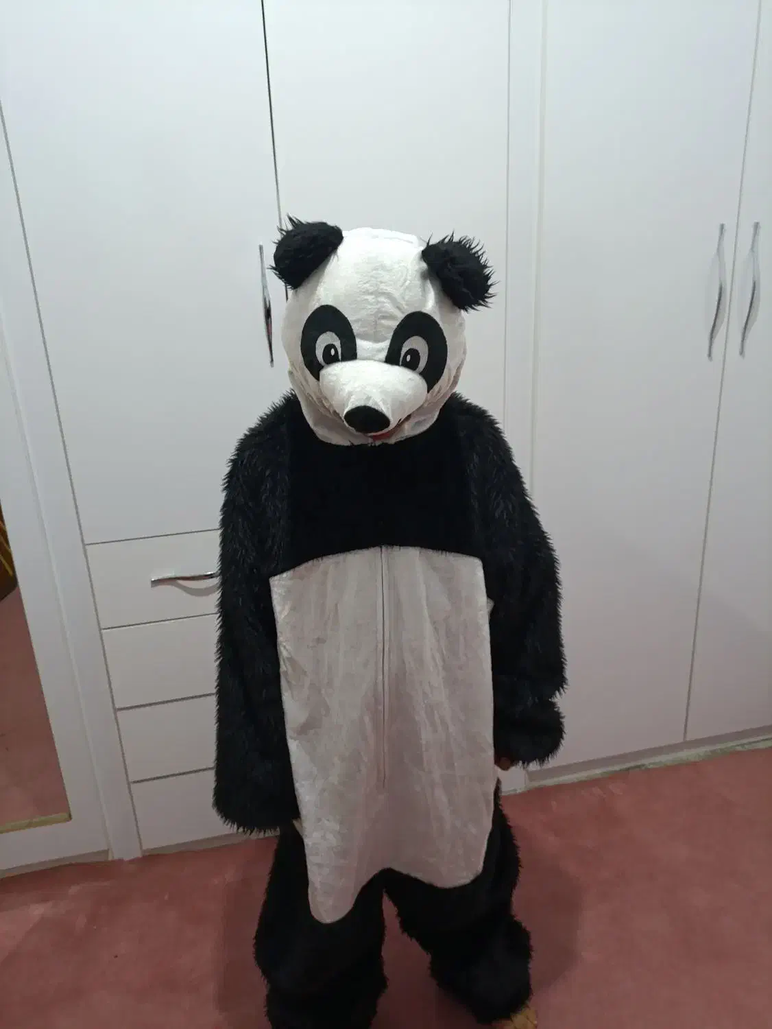 لباس پاندا مهربون|لباس|مرند, |دیوار