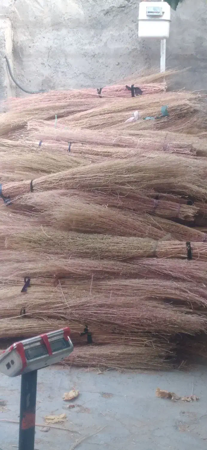 جاروی شهرداری|لوازم نظافت|یاسوج, |دیوار