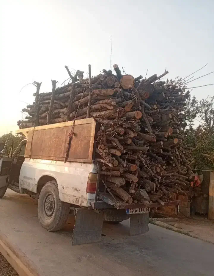 خرید چوبهای باغبانی و هیزمی هرس|خدمات باغبانی و درختکاری|کرج, کمالشهر|دیوار