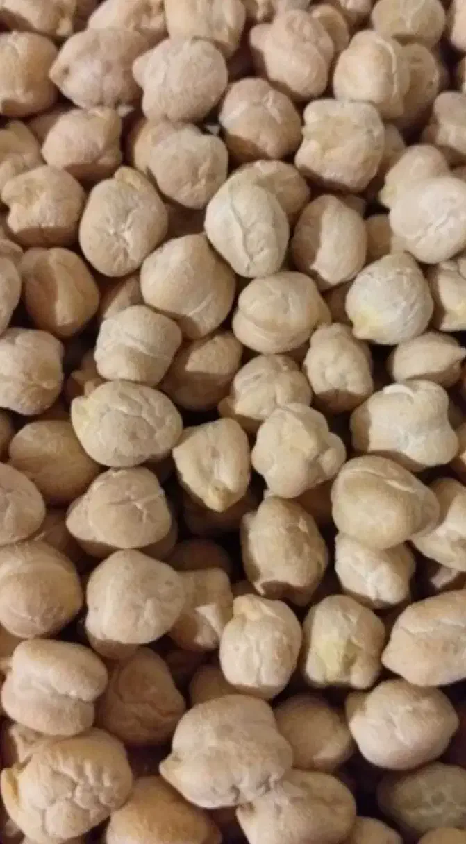 نخود درشت تازه|عمدهفروشی|ضیاء آباد, |دیوار