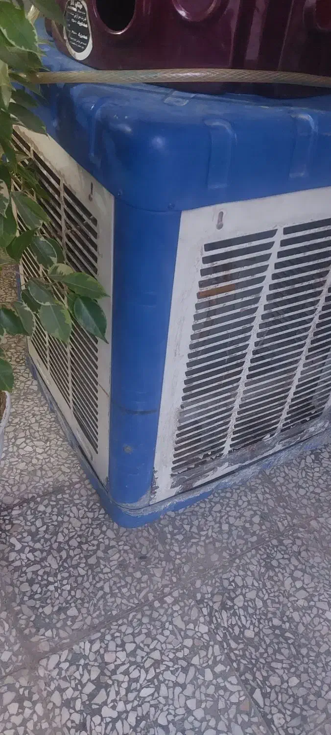 کولر آبی|کولر آبی|اهر, |دیوار