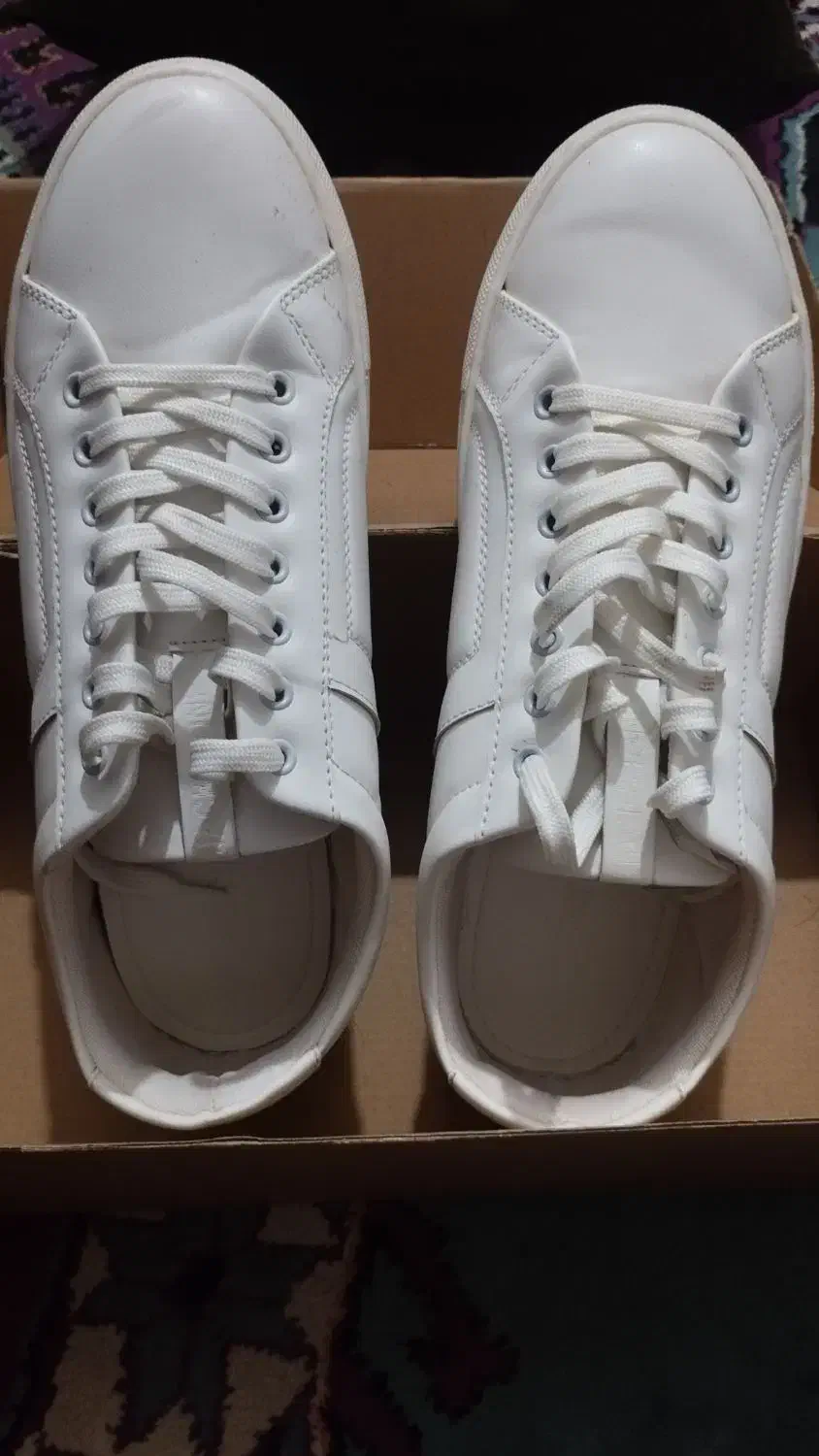 کفش|کیف، کفش، کمربند|اهواز, زندوکیلی|دیوار