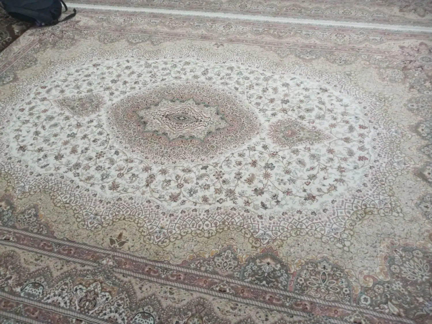 فرش|فرش|میلاجرد, |دیوار