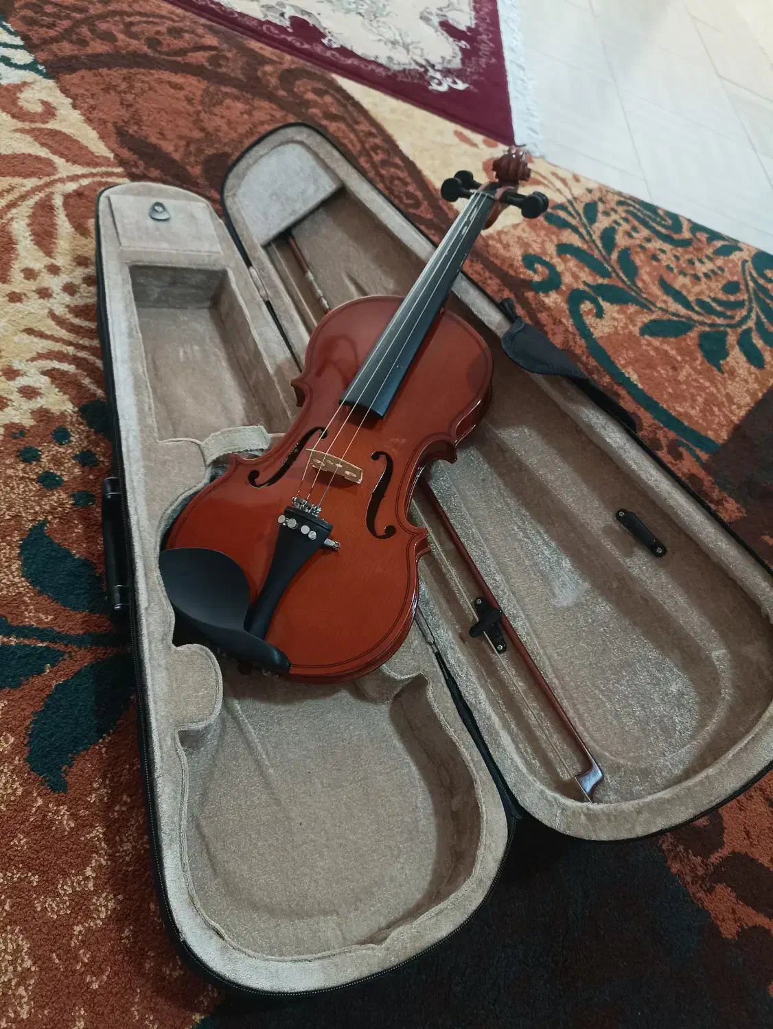 ویولن TF142|ویولن|شیراز, شهرک بزین|دیوار