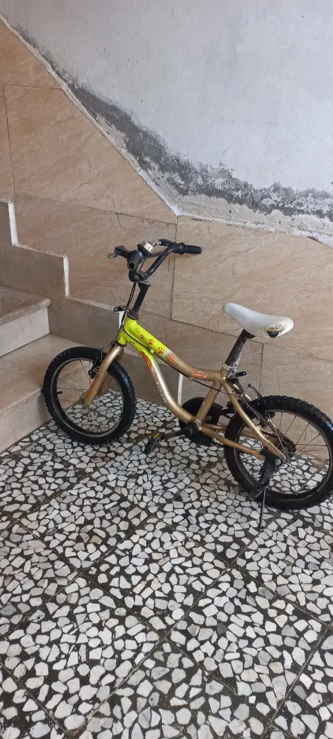 دوچرخه دوتا باهم|دوچرخه، اسکیت، اسکوتر|بابل, |دیوار